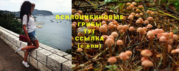 ГАЛЛЮЦИНОГЕННЫЕ ГРИБЫ Арсеньев