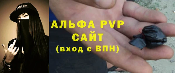 крисы Аркадак
