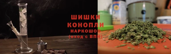 ГАЛЛЮЦИНОГЕННЫЕ ГРИБЫ Арсеньев