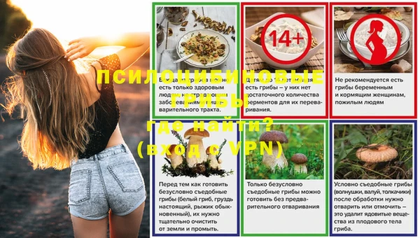 Альфа ПВП Алзамай